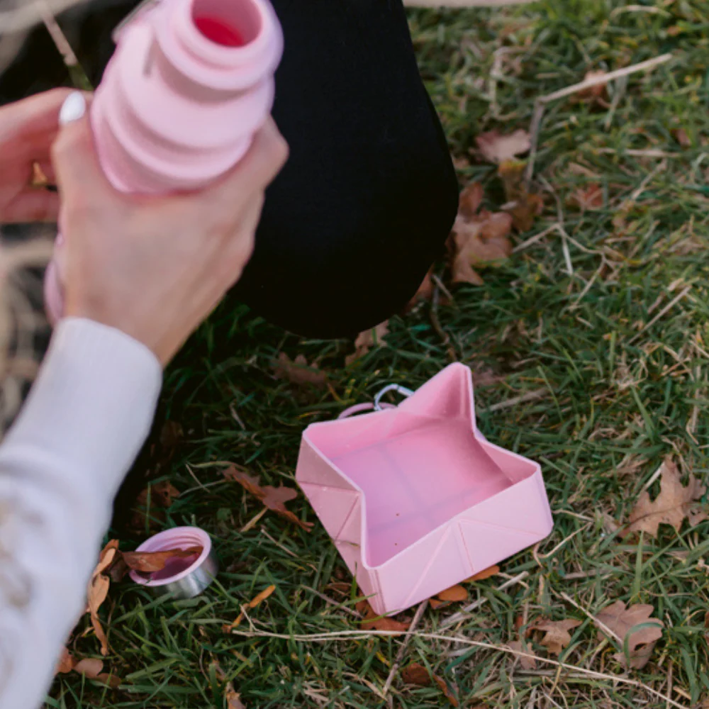 Foldable Travel Bowl - Pink - Image 5