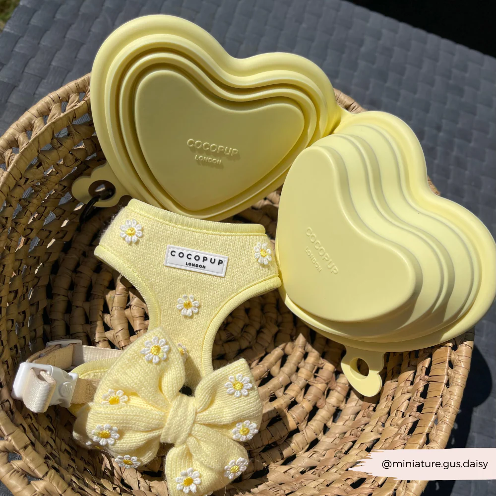Heart Collapsible Bowl - Butter Yellow - Image 5