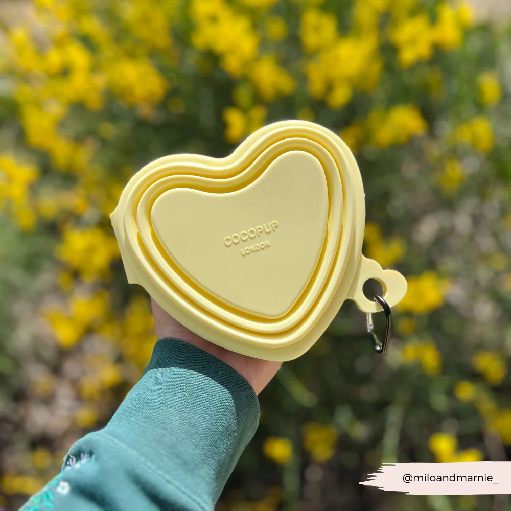 Heart Collapsible Bowl - Butter Yellow - Image 7
