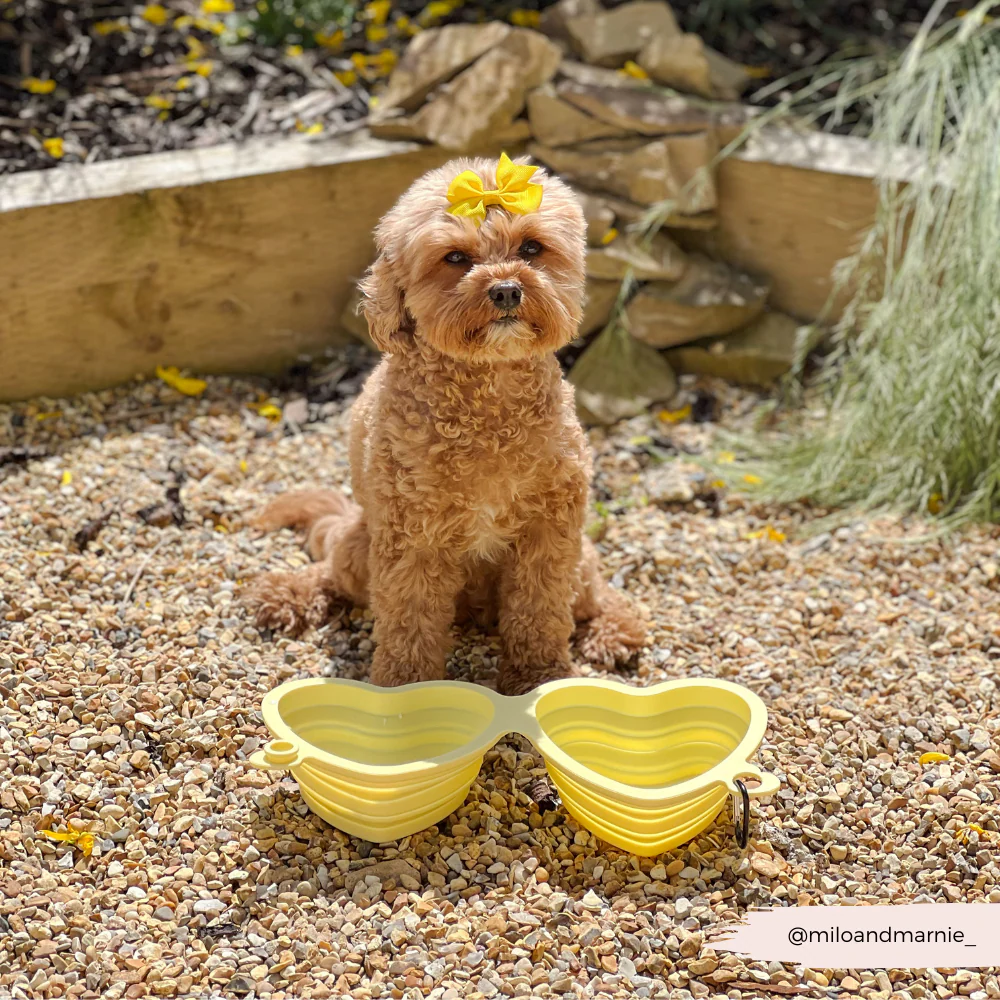 Heart Collapsible Bowl - Butter Yellow - Image 8