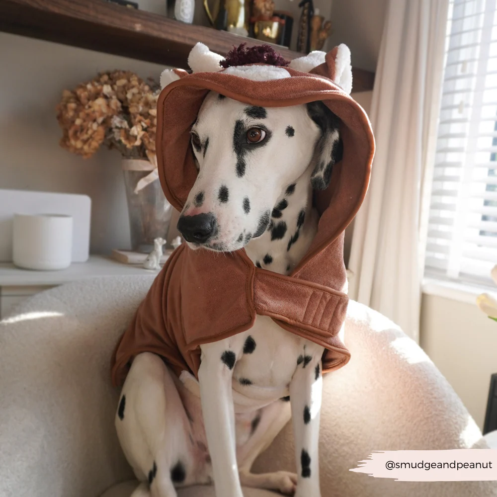 Harold the Highland Cow Drying Robe - Image 10