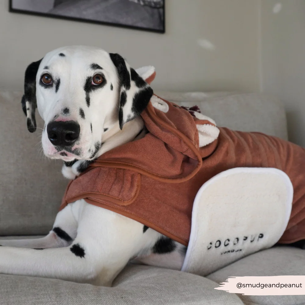 Harold the Highland Cow Drying Robe - Image 11