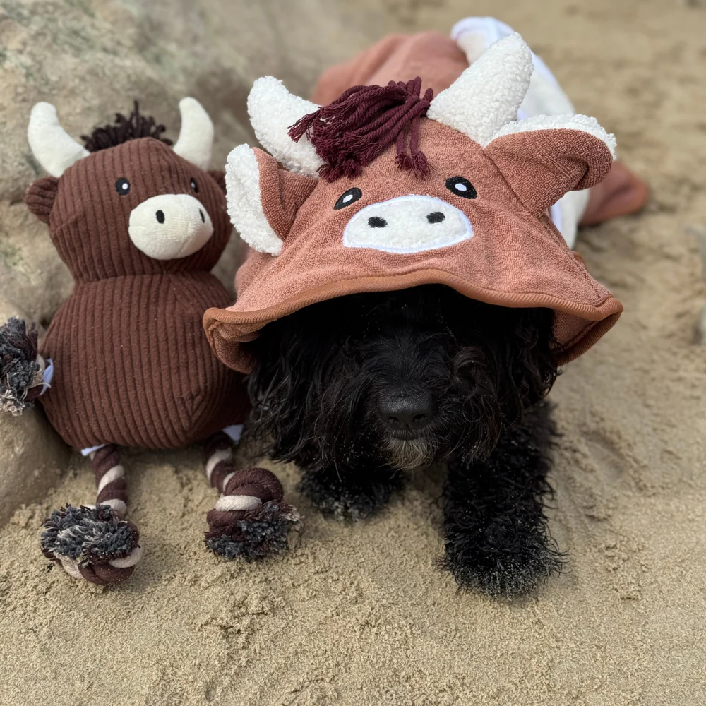 Harold the Highland Cow Drying Robe - Image 12