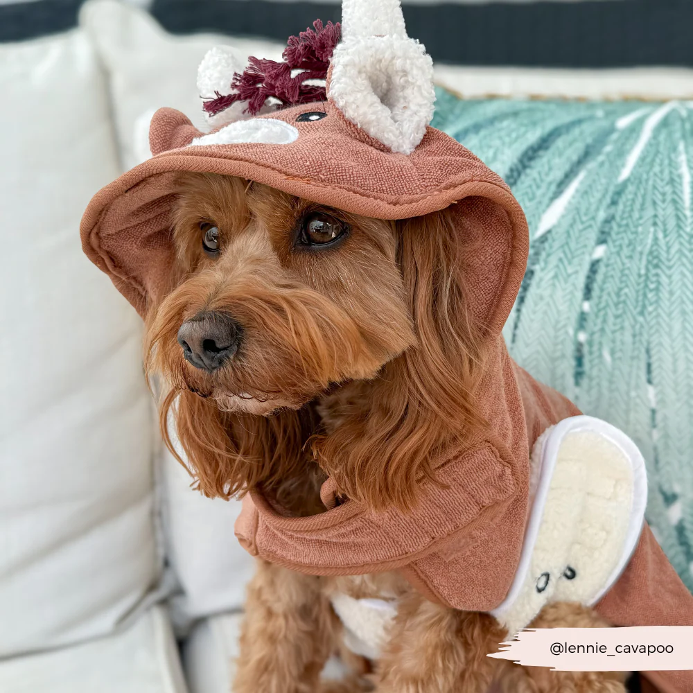Harold the Highland Cow Drying Robe - Image 5