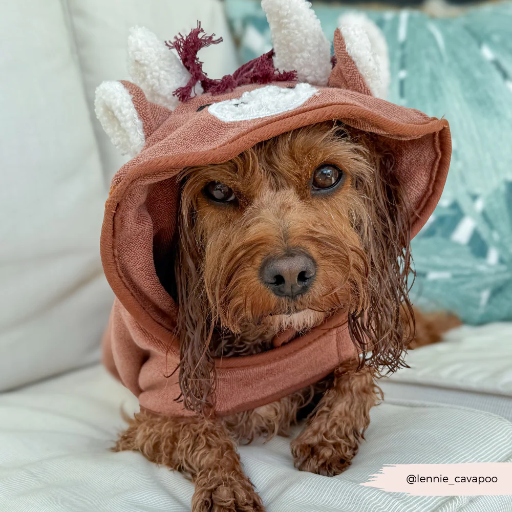 Harold the Highland Cow Drying Robe - Image 6