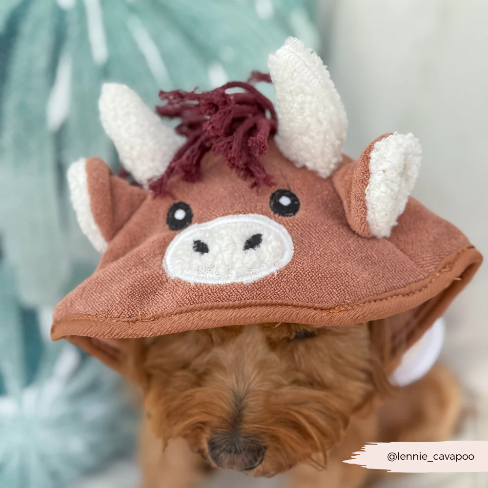 Harold the Highland Cow Drying Robe - Image 7