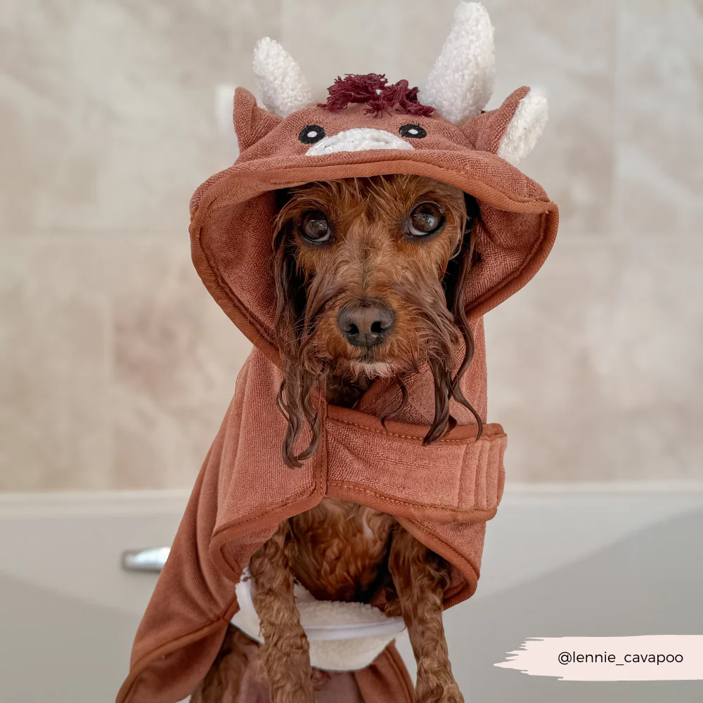 Harold the Highland Cow Drying Robe - Image 8