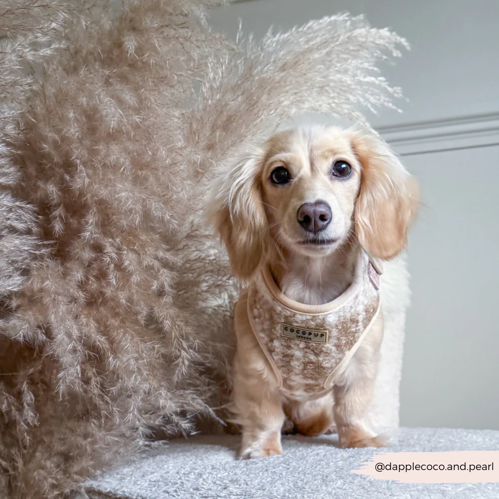 Highland Fleece Adjustable Neck HARNESS - Oatmeal - Image 10