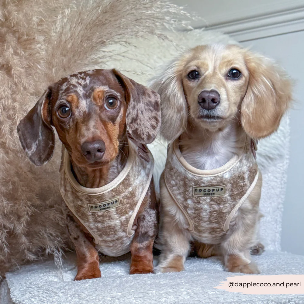 Highland Fleece Adjustable Neck HARNESS - Oatmeal - Image 12