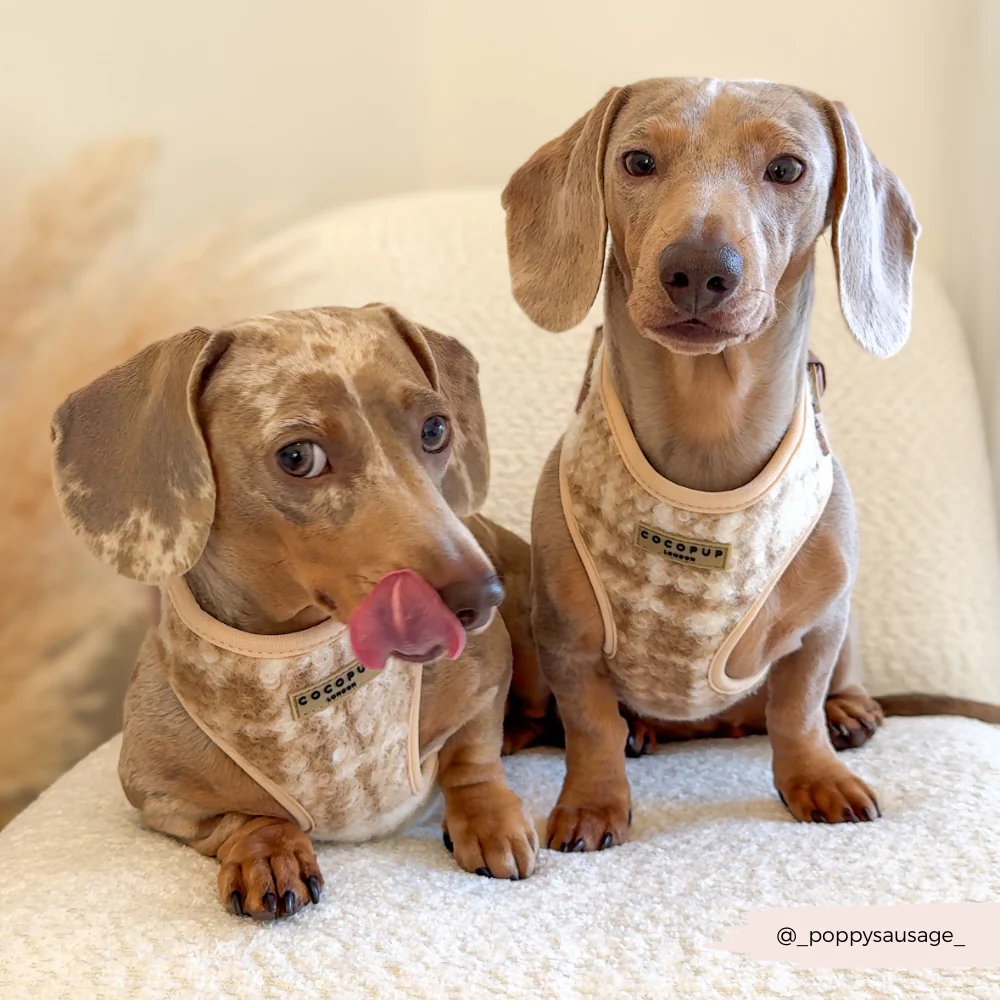 Highland Fleece Adjustable Neck HARNESS - Oatmeal - Image 13