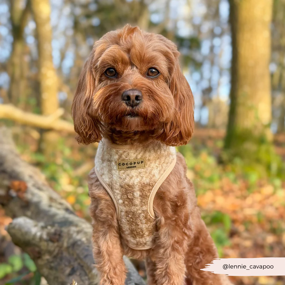 Highland Fleece Adjustable Neck HARNESS - Oatmeal - Image 14