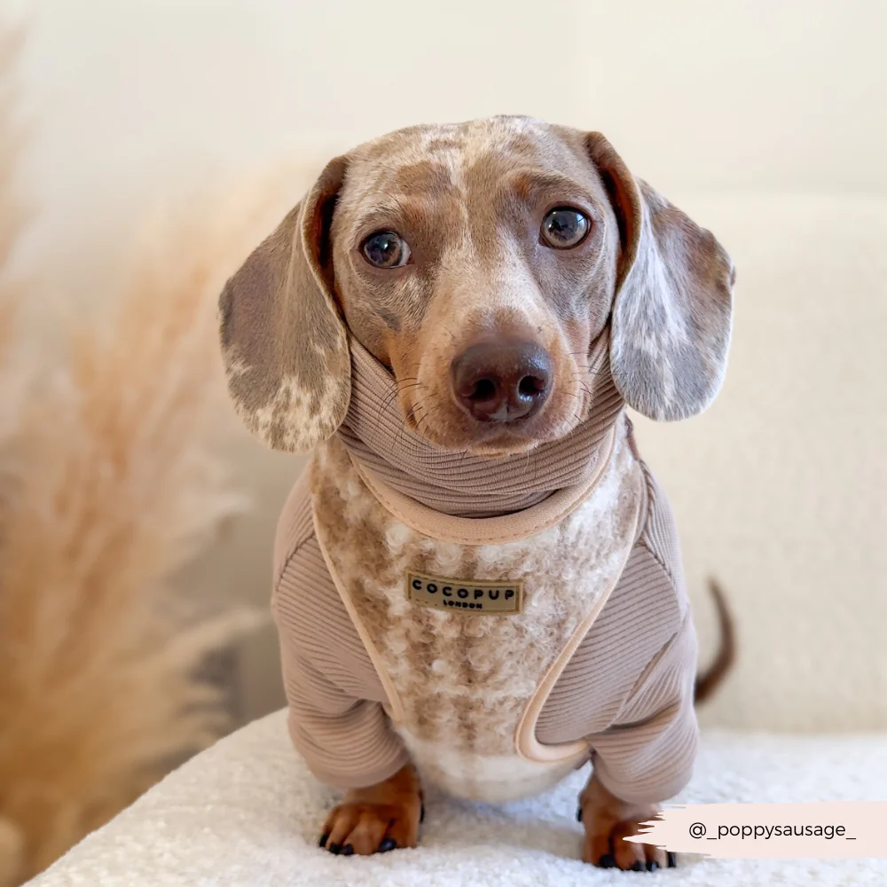 Highland Fleece Adjustable Neck HARNESS - Oatmeal - Image 17