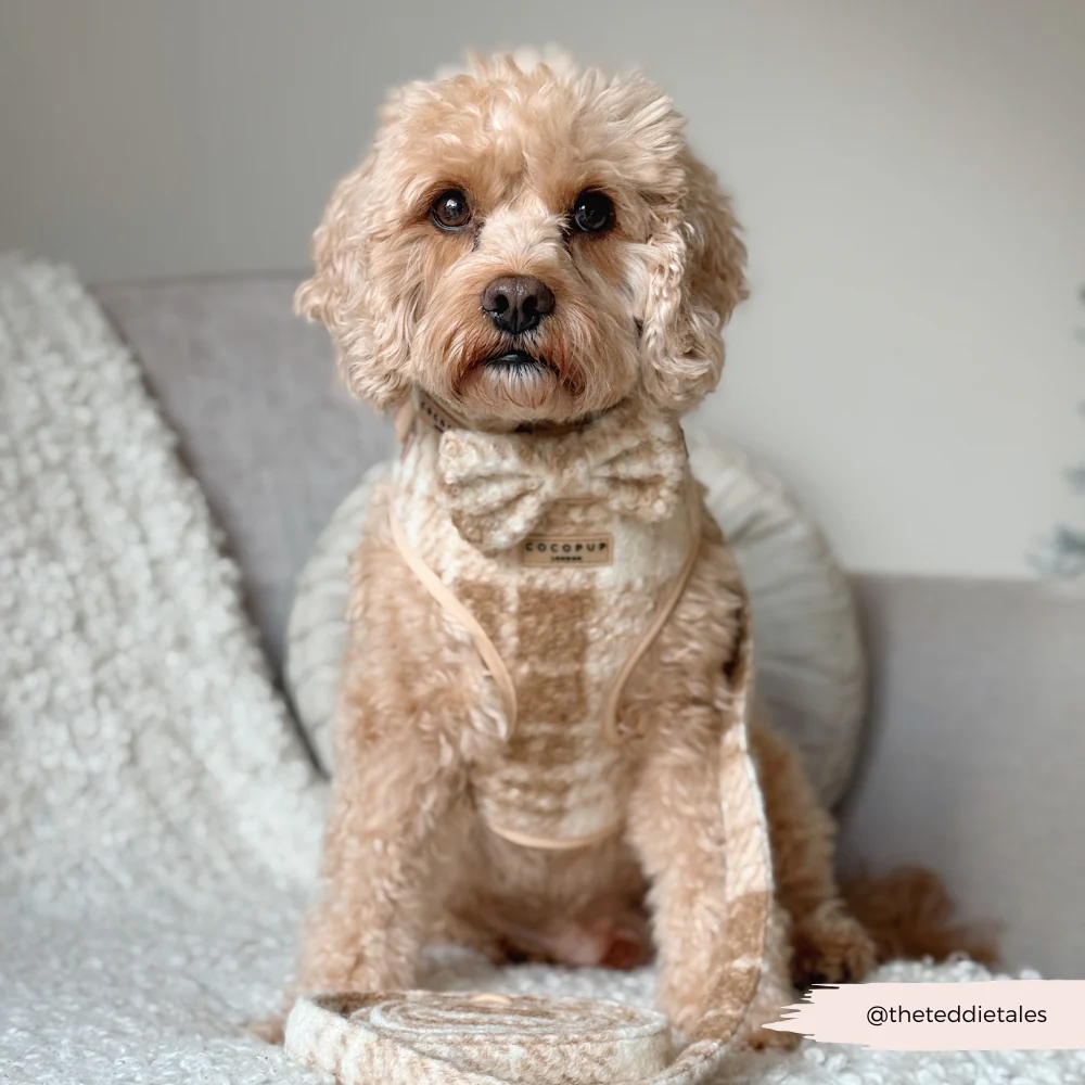 Highland Fleece Adjustable Neck HARNESS - Oatmeal - Image 8