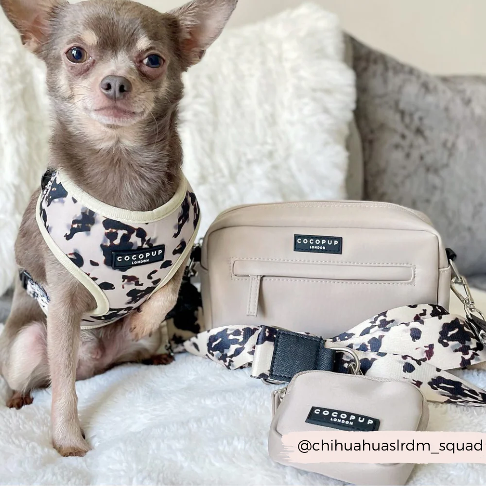 Ivory Tort Adjustable Neck HARNESS - Image 19