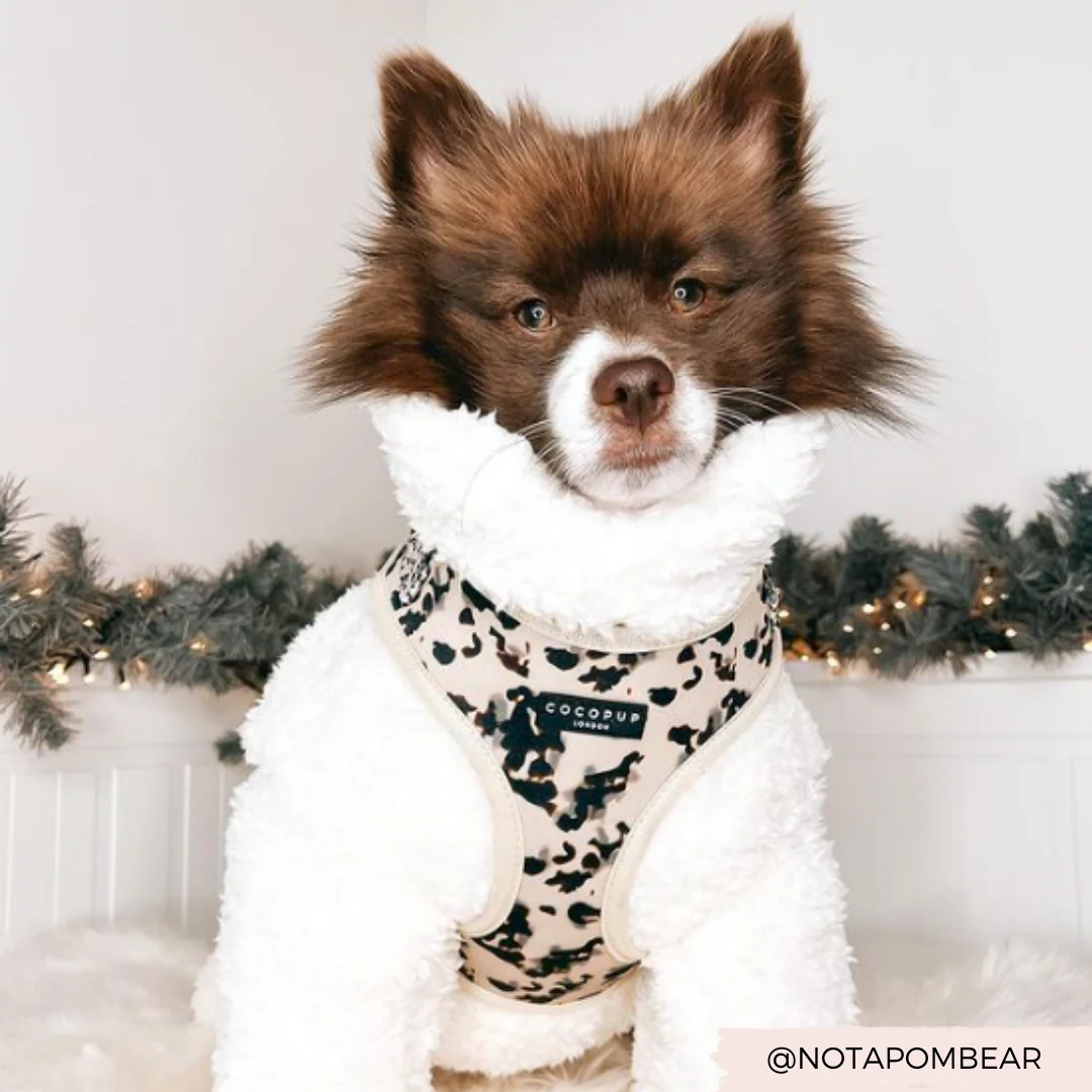 Ivory Tort Adjustable Neck HARNESS - Image 21