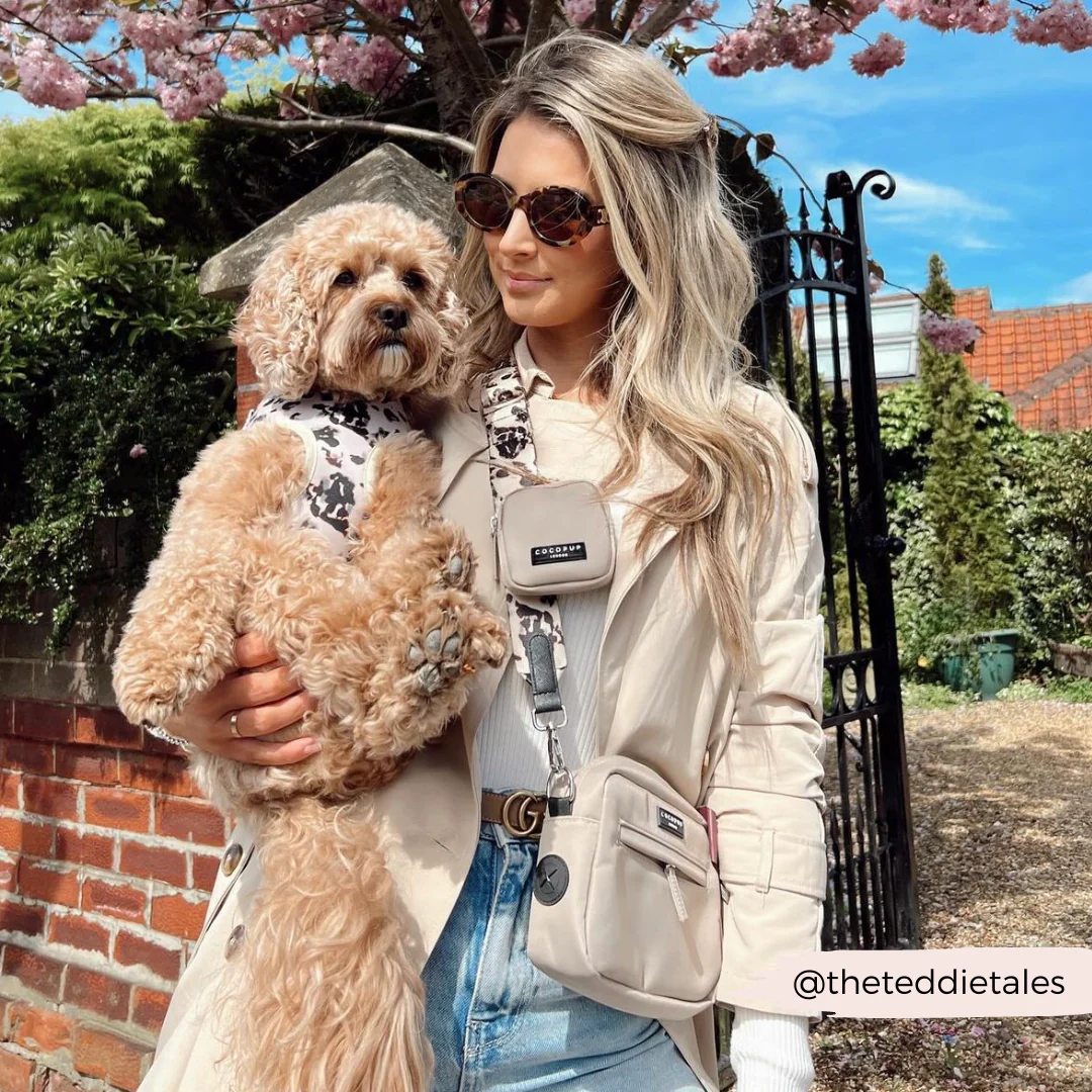 Ivory Tort Adjustable Neck HARNESS - Image 27