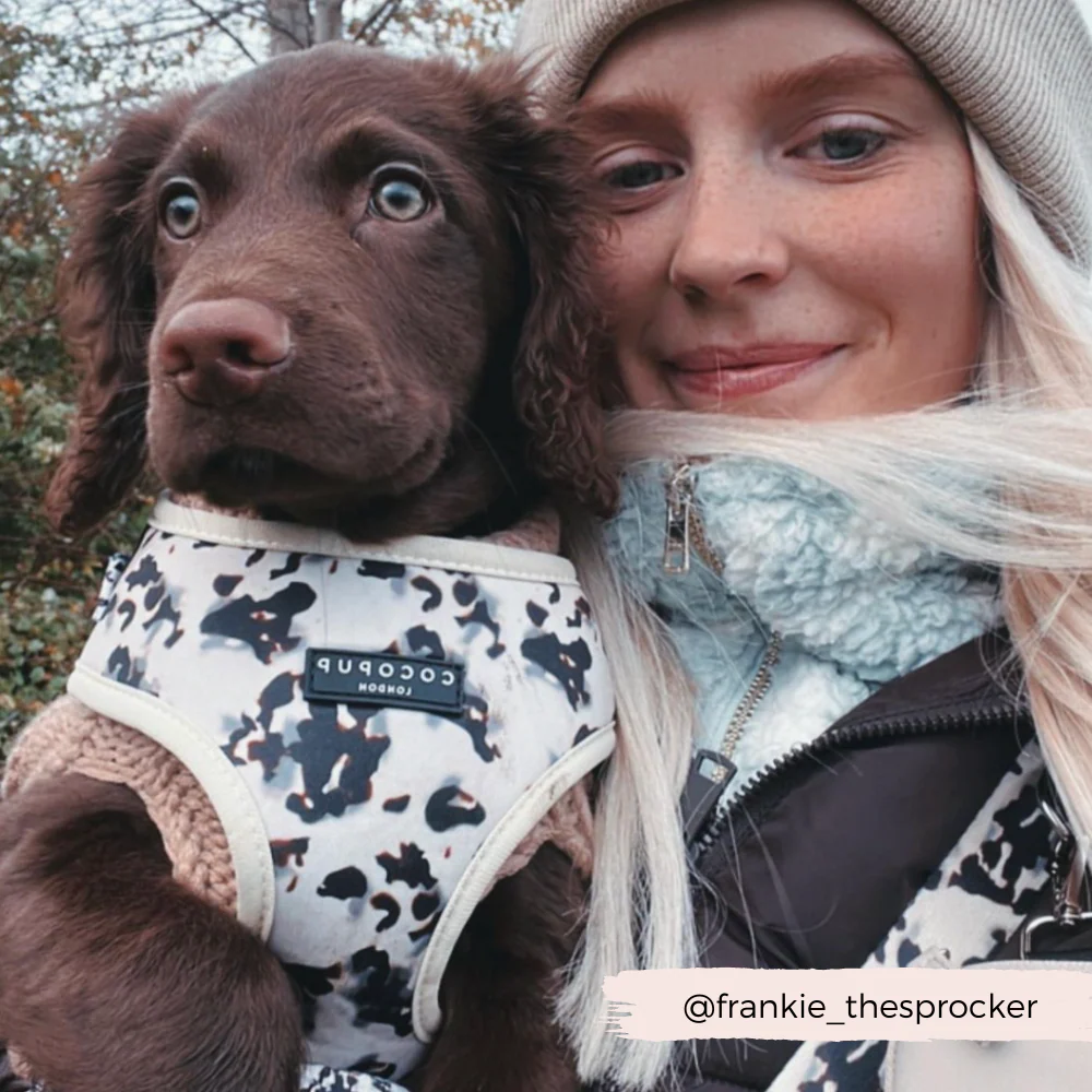 Ivory Tort Adjustable Neck HARNESS - Image 6