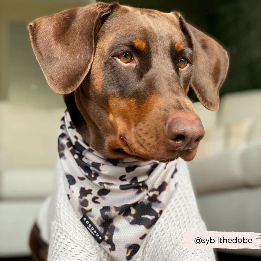 Ivory Tort Bandana - Image 5