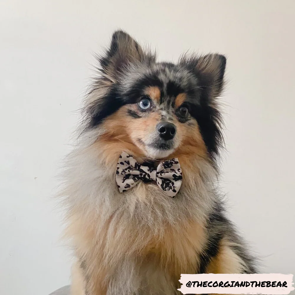 Ivory Tort Bow Tie - Image 3