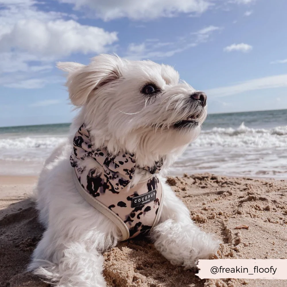 Ivory Tort Bow Tie - Image 5