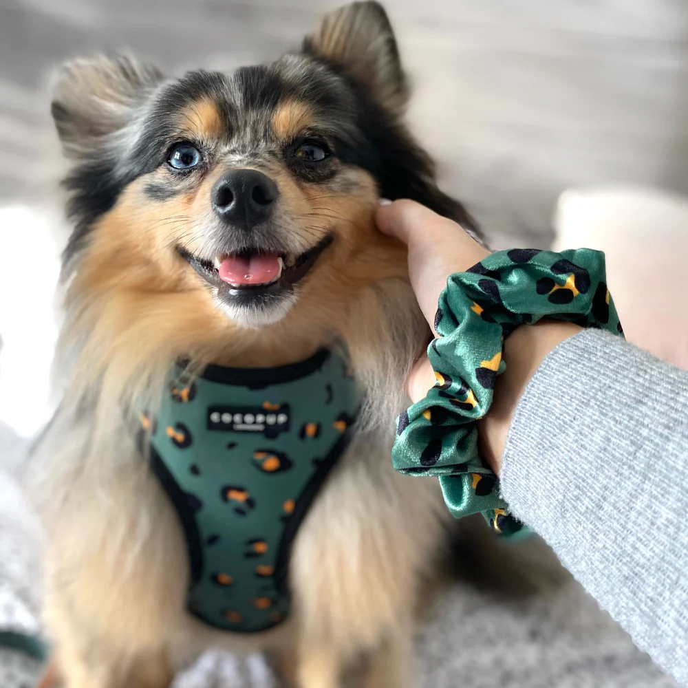 Khaki Leopard Adjustable Neck HARNESS - Image 3