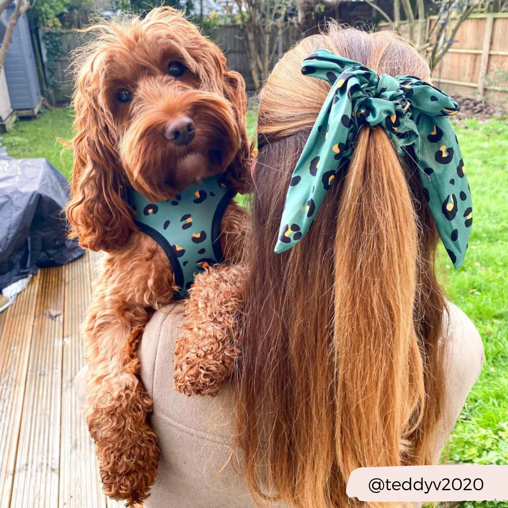 Khaki Leopard Adjustable Neck HARNESS - Image 9