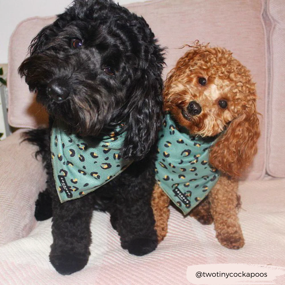 Khaki Leopard Bandana - Image 8