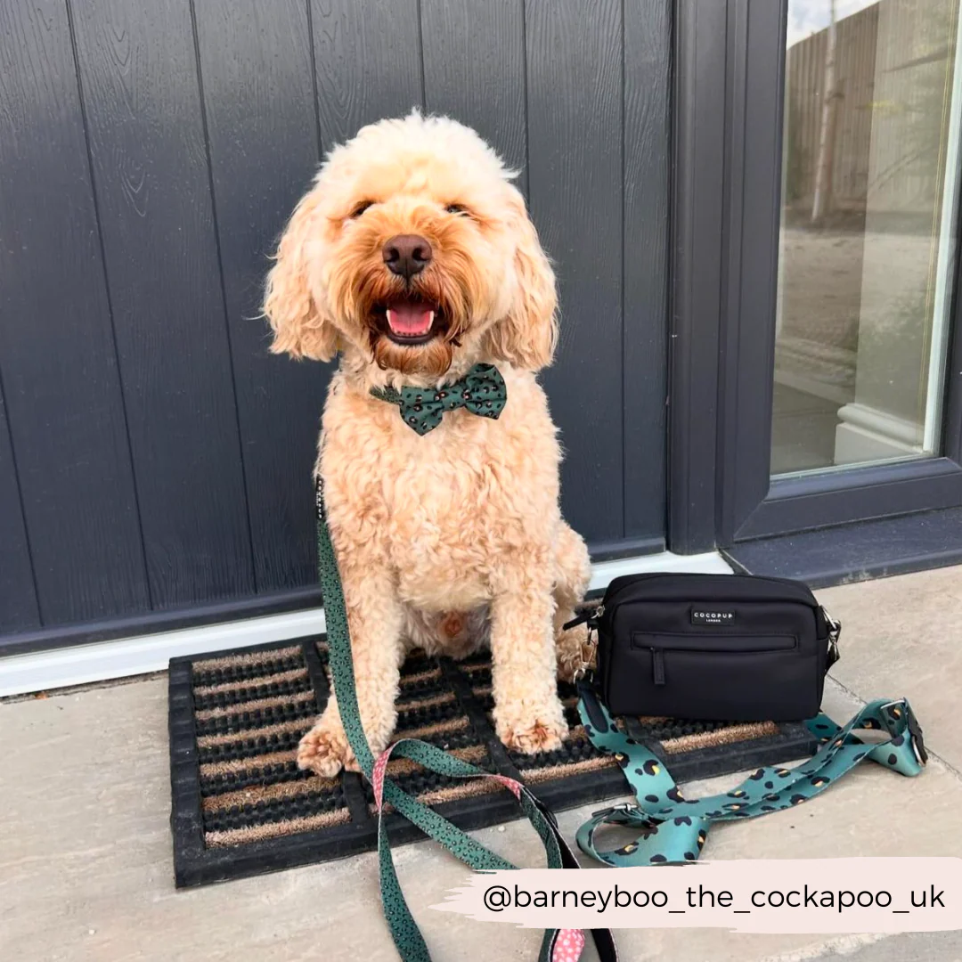 Khaki Leopard Bow Tie - Image 7
