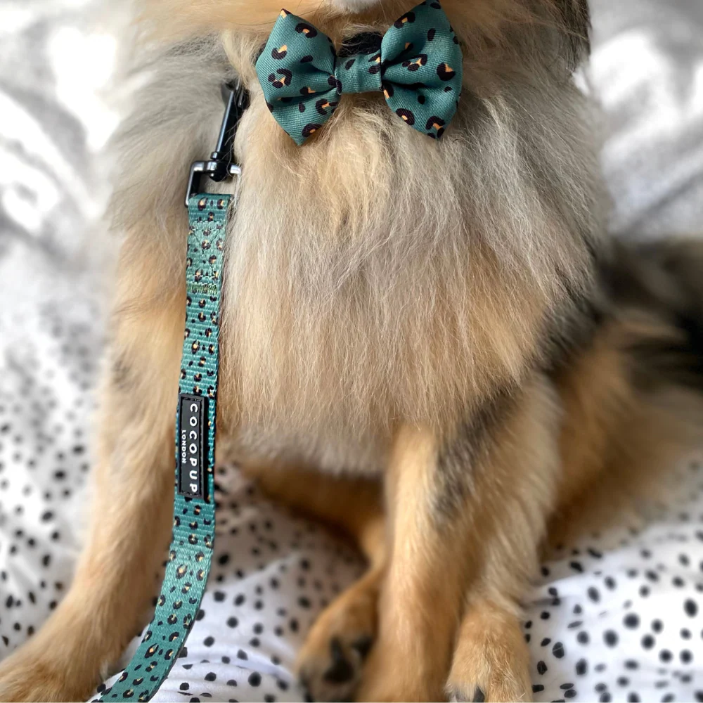 Khaki Leopard Lead - Image 3