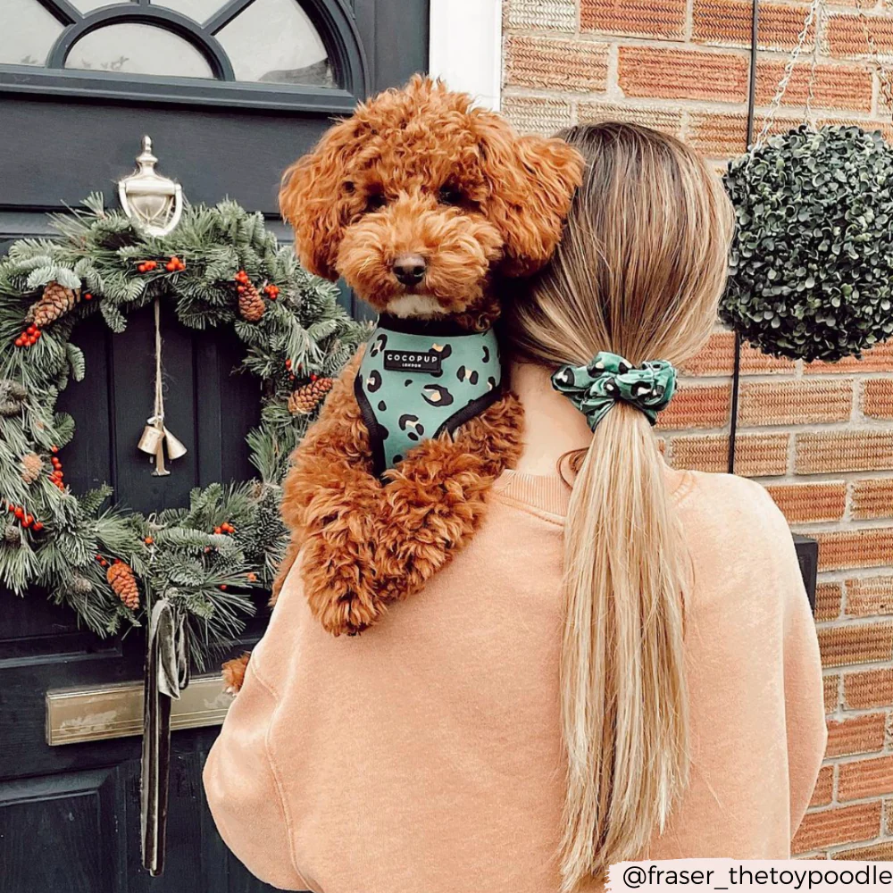 Khaki Leopard Scrunchie by Coconut Lane - Image 4