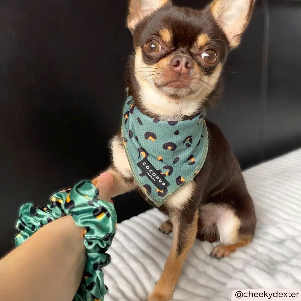 Khaki Leopard Scrunchie by Coconut Lane - Image 6