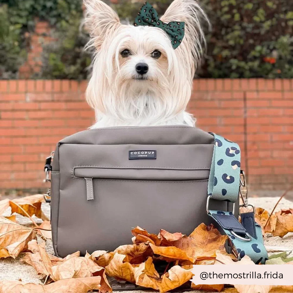 Large Dog Walking Bag - Mocha - Image 7