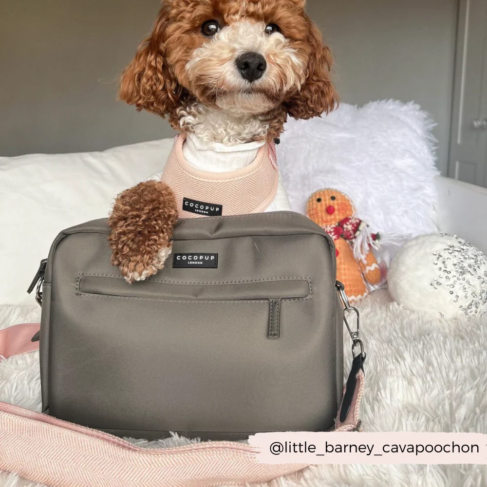 Large Dog Walking Bag - Mocha - Image 8