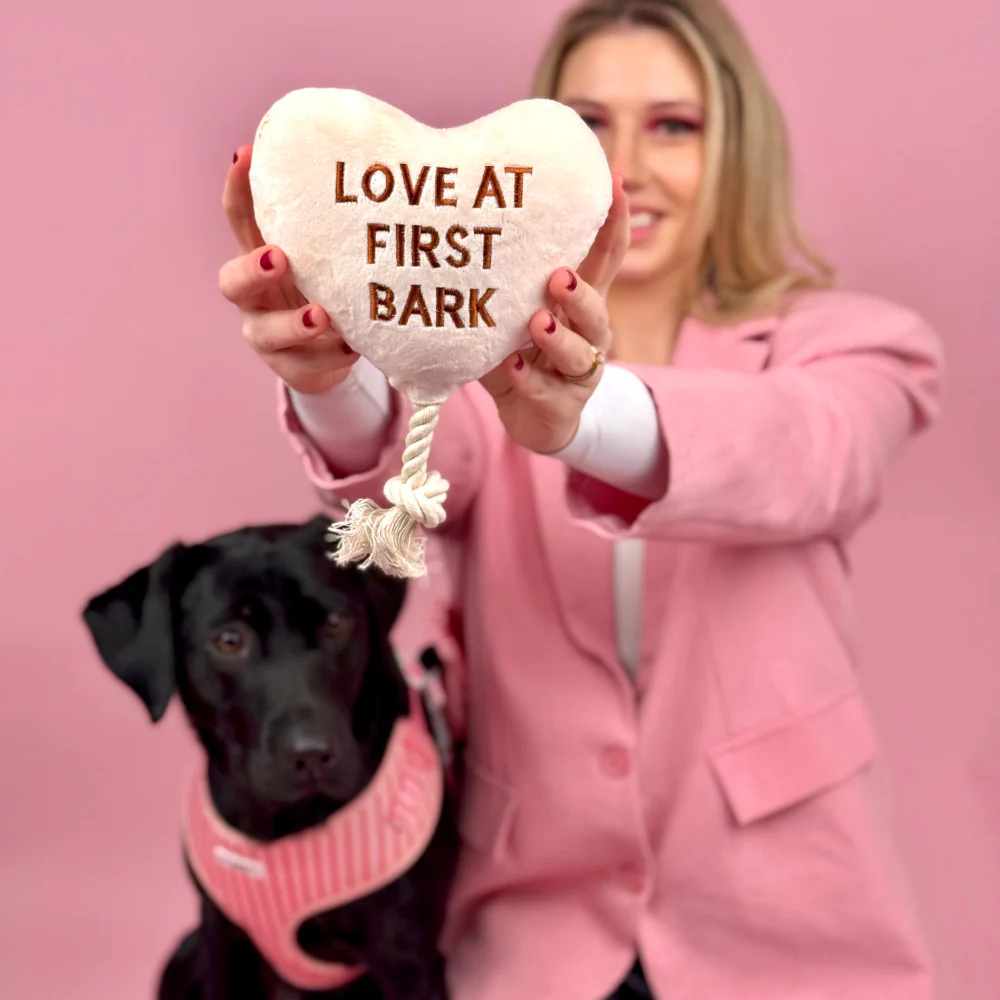 Love at First Bark Dog Toy - Image 3