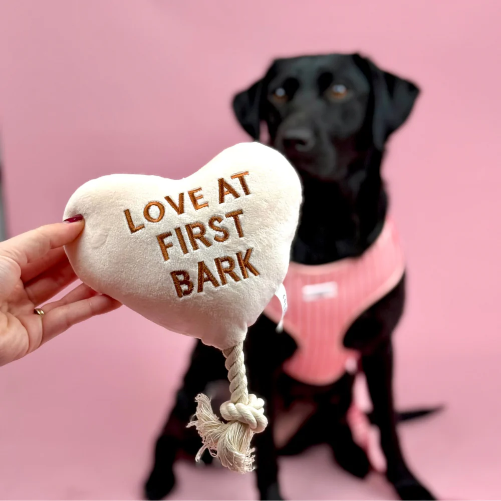 Love at First Bark Dog Toy - Image 4