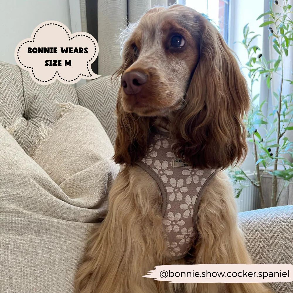 Luxe Adjustable Neck HARNESS - Mocha Flower - Image 13