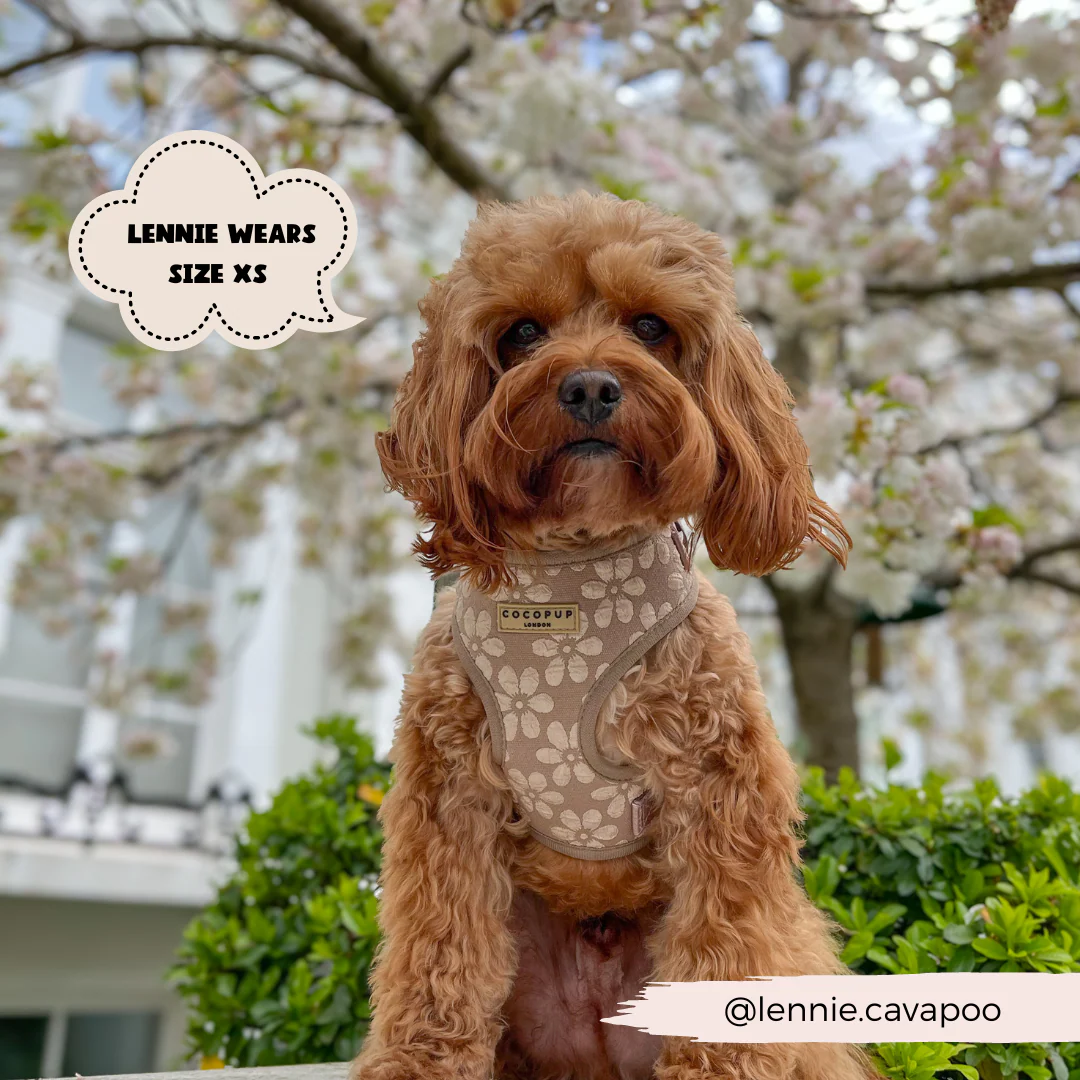 Luxe Adjustable Neck HARNESS - Mocha Flower - Image 23