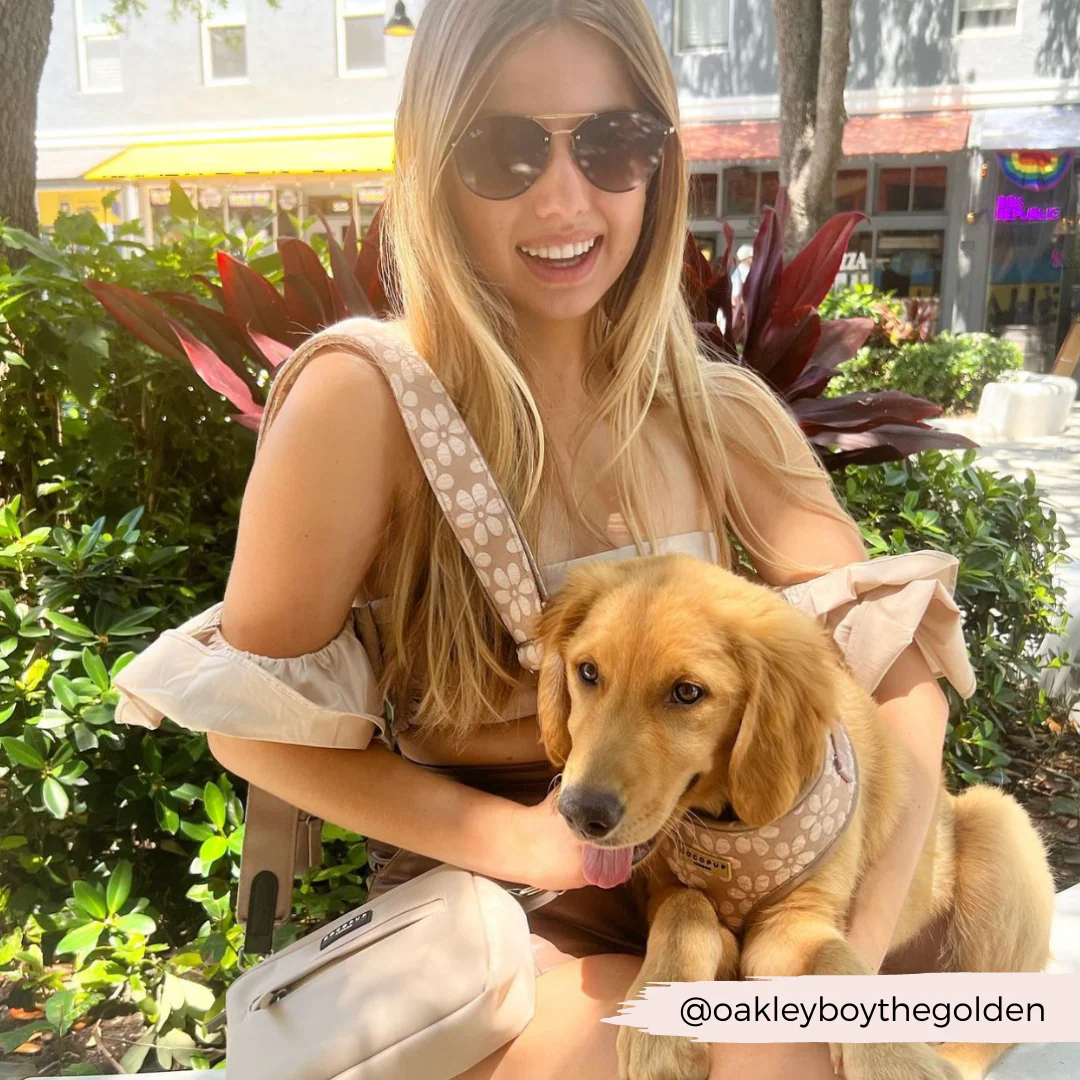 Luxe Adjustable Neck HARNESS - Mocha Flower - Image 28