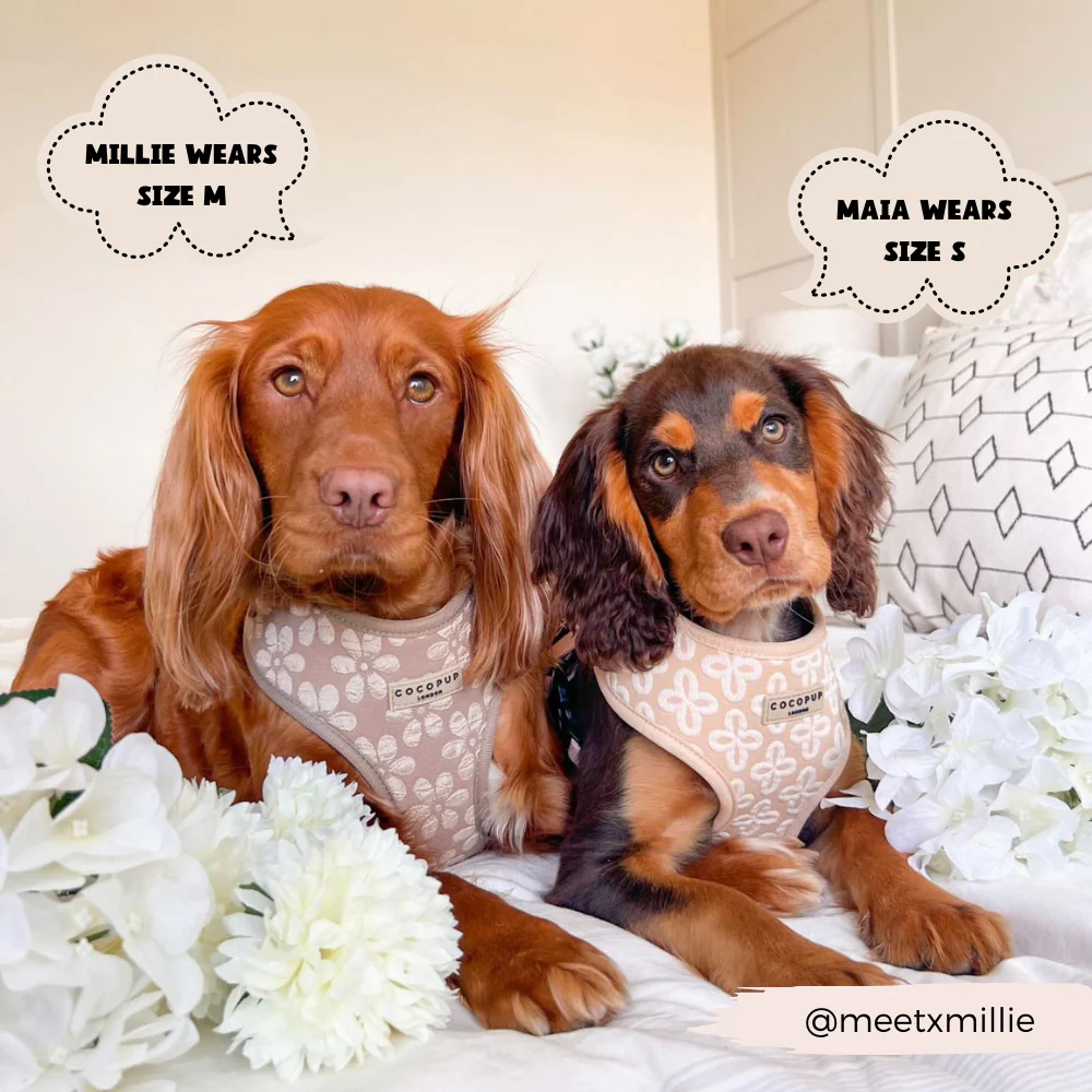 Luxe Adjustable Neck HARNESS - Mocha Flower - Image 7