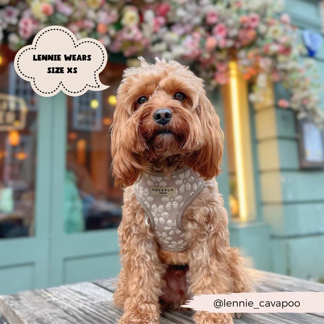 Luxe Adjustable Neck HARNESS - Mocha Flower - Image 9