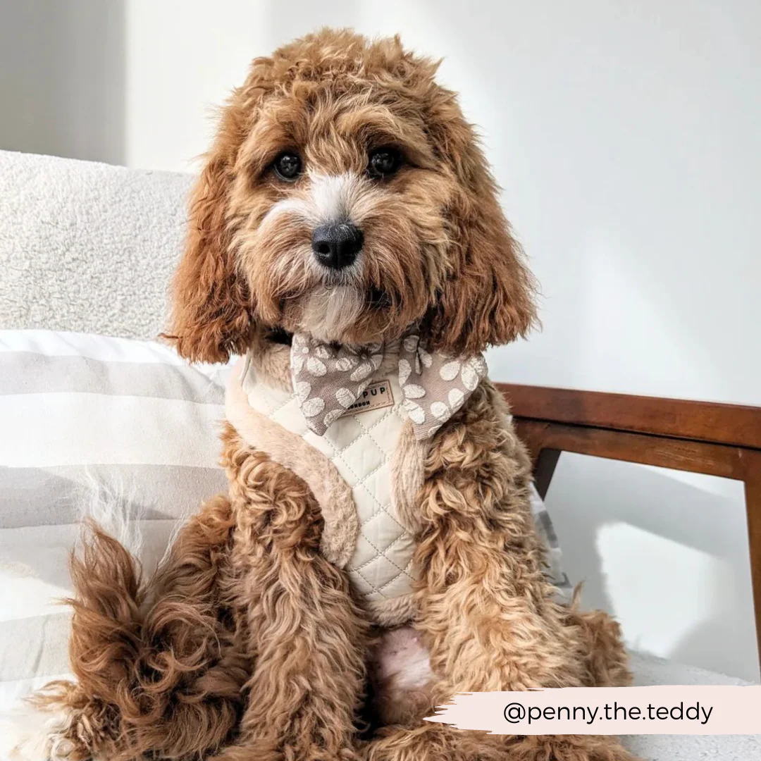 Luxe Sailor Bow Tie - Mocha Flower - Image 10