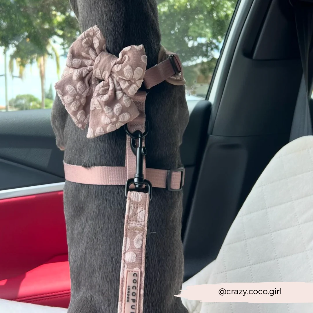 Luxe Sailor Bow Tie - Mocha Flower - Image 14