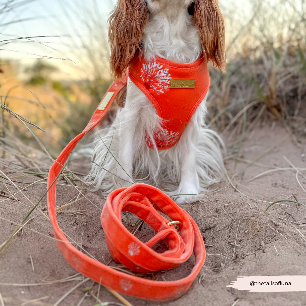Luxe Velvet Adjustable Neck HARNESS- Coral Core - Image 11