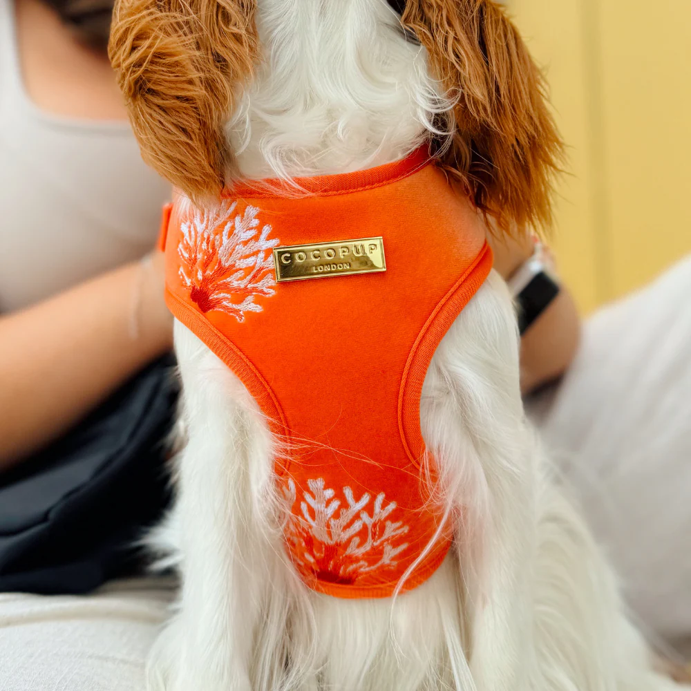 Luxe Velvet Adjustable Neck HARNESS- Coral Core - Image 17