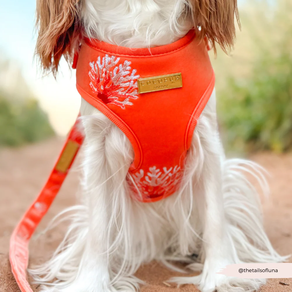 Luxe Velvet Adjustable Neck HARNESS- Coral Core - Image 20