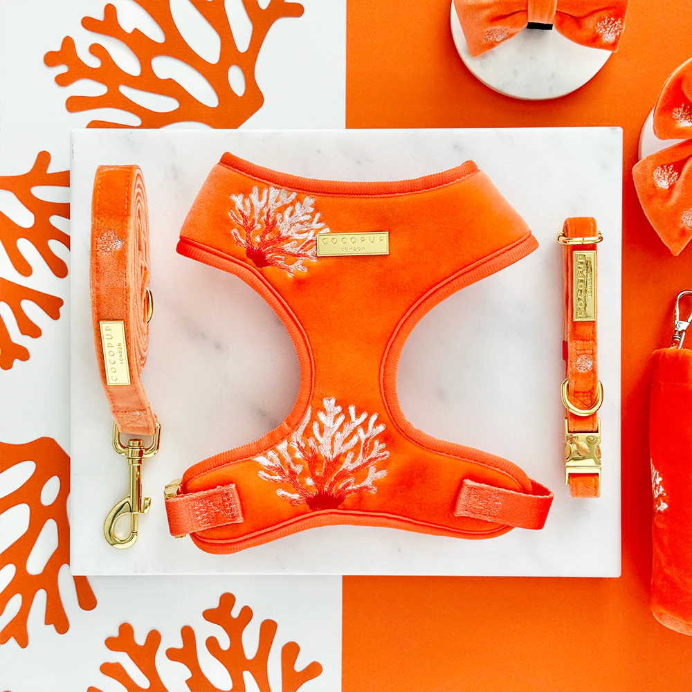 Luxe Velvet Adjustable Neck HARNESS- Coral Core - Image 3