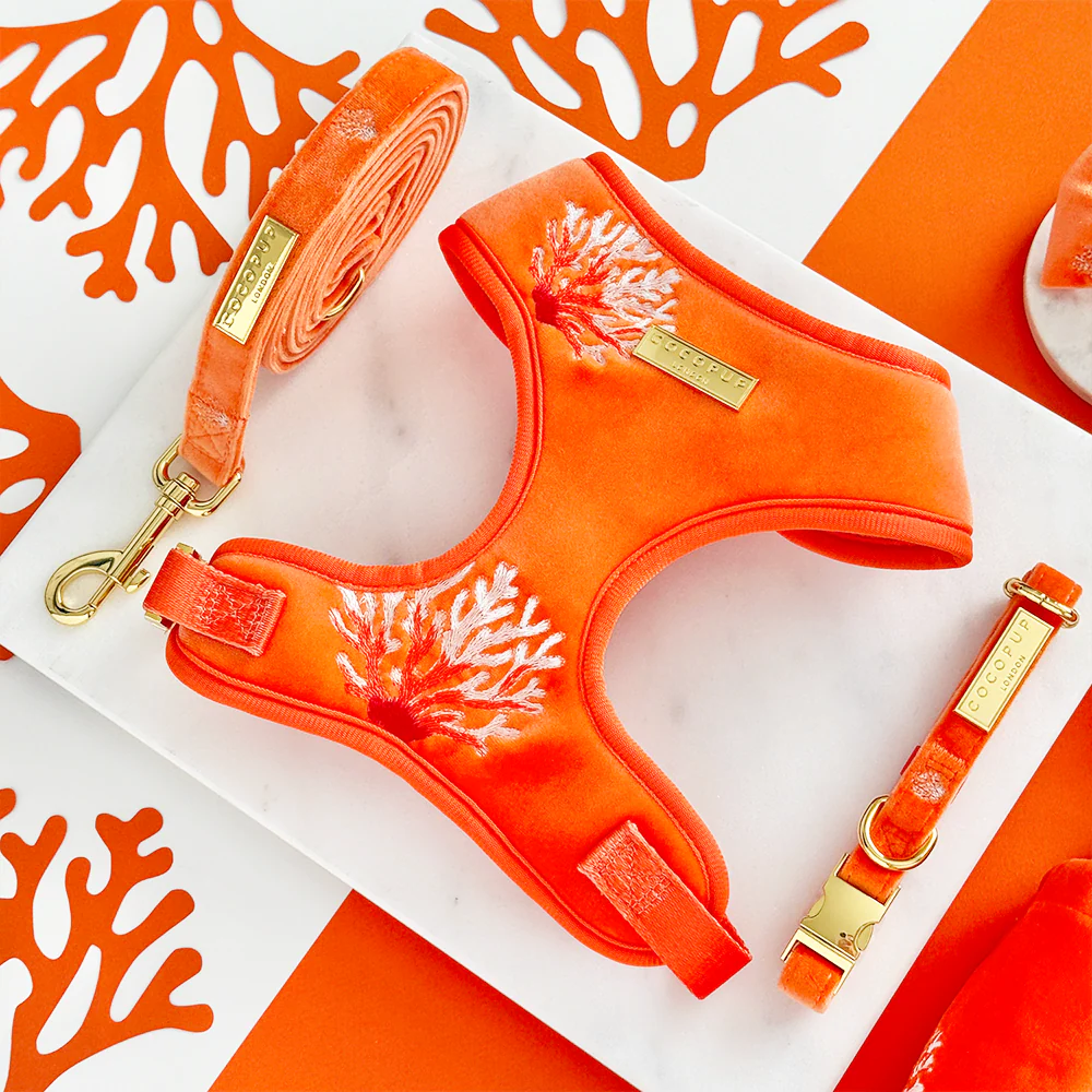 Luxe Velvet Adjustable Neck HARNESS- Coral Core - Image 4