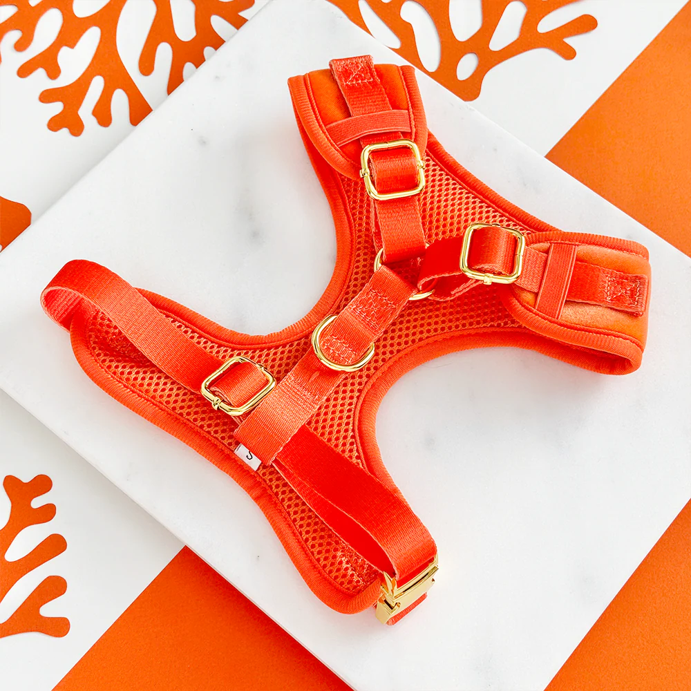 Luxe Velvet Adjustable Neck HARNESS- Coral Core - Image 5