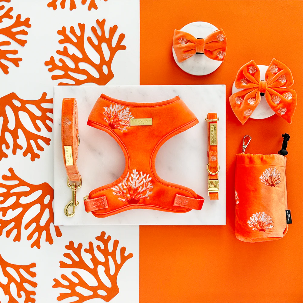 Luxe Velvet Adjustable Neck HARNESS- Coral Core - Image 6