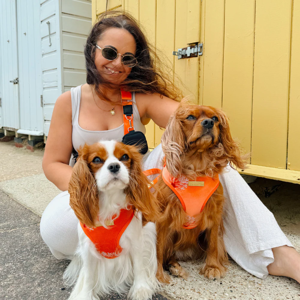 Luxe Velvet Adjustable Neck HARNESS- Coral Core - Image 9